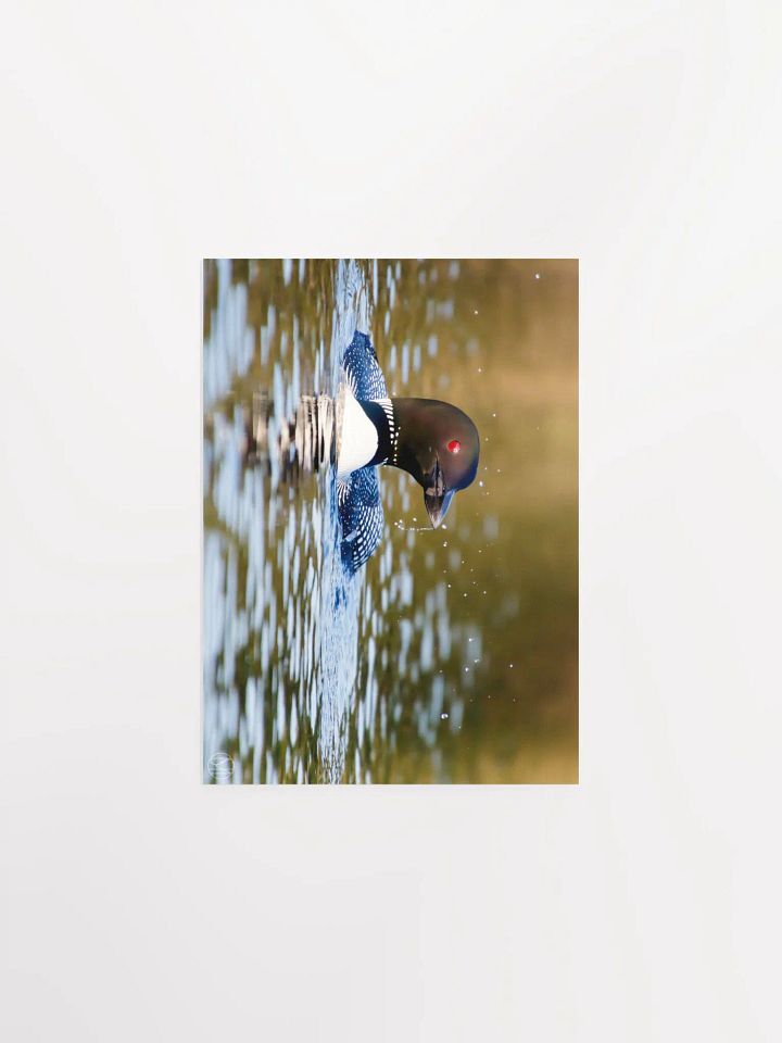 Watching Print product image (2)