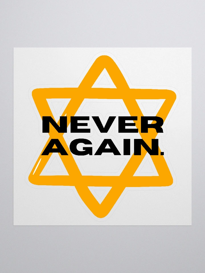 Never Again Sticker product image (2)