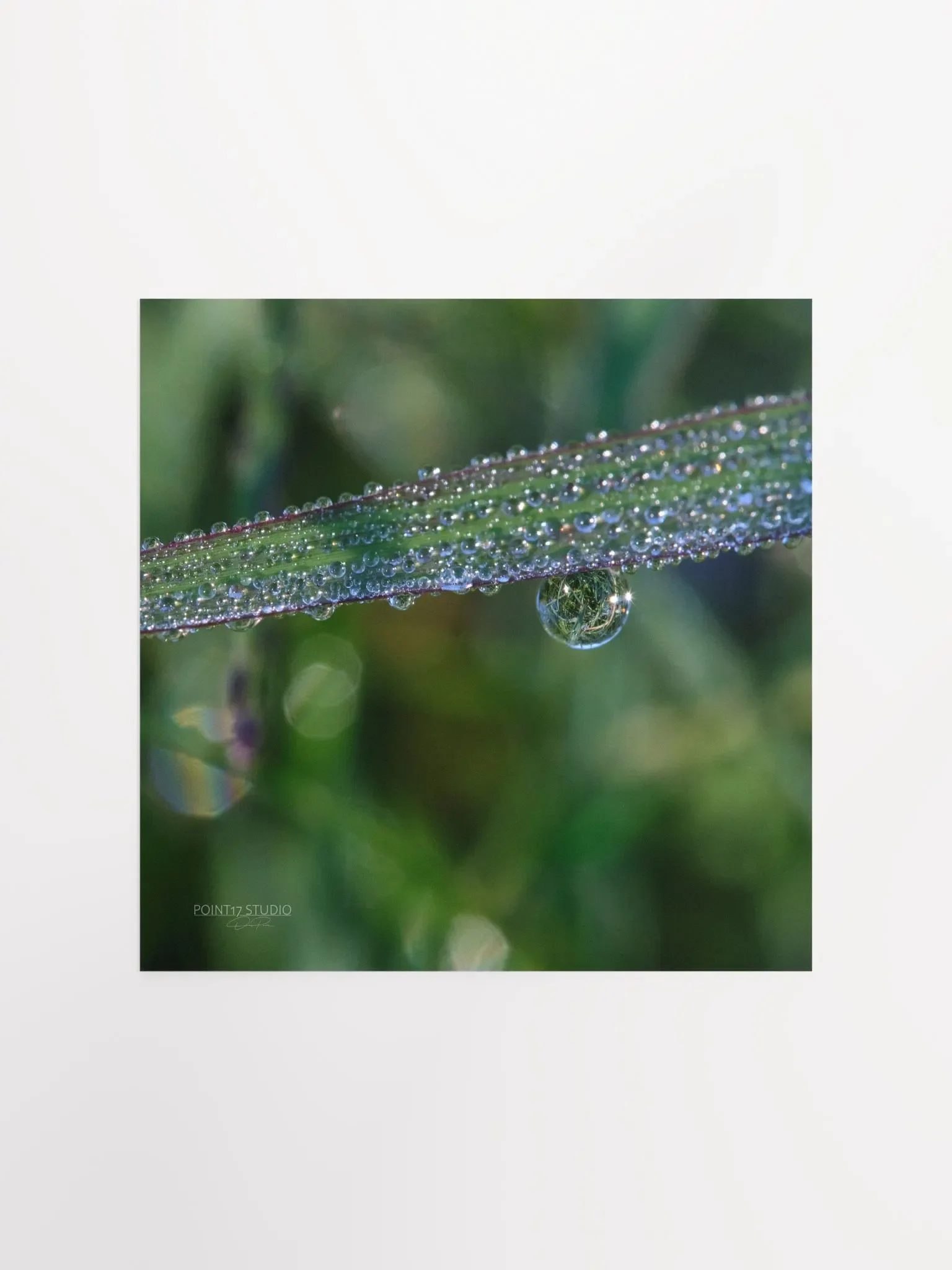 Dew Gems #3 - Print product image (1)