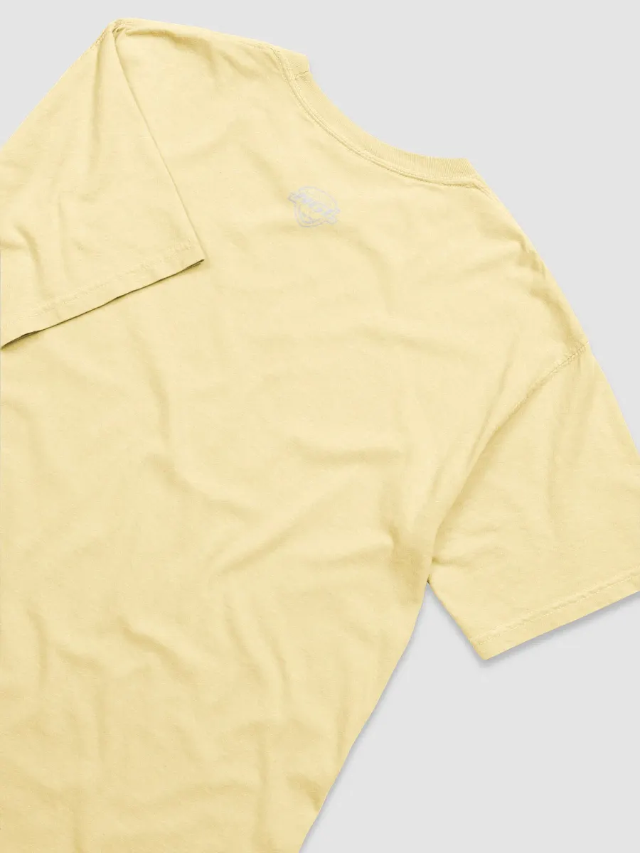 Tampa Bay Storm T-Shirt by Comfort Colors product image (4)