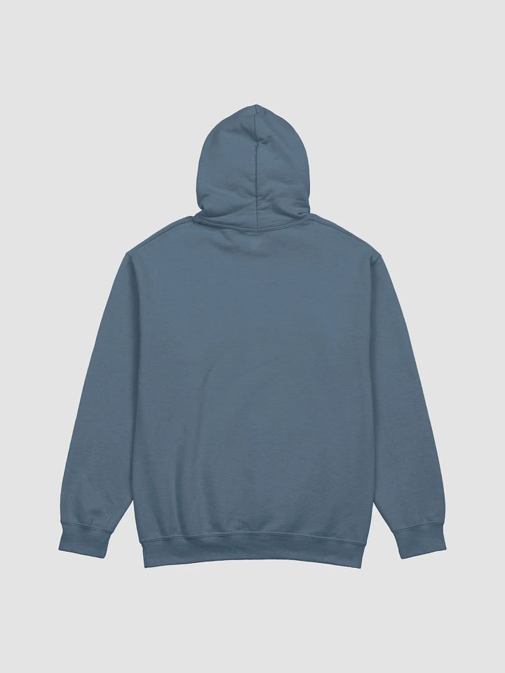 TANDM Hoodie product image (2)