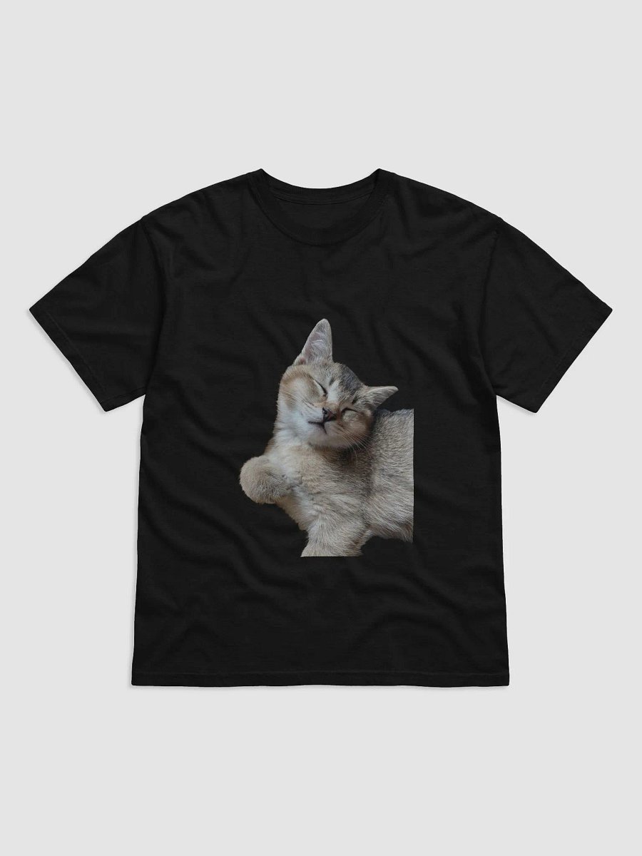 Sleeping Cat Tee product image (3)