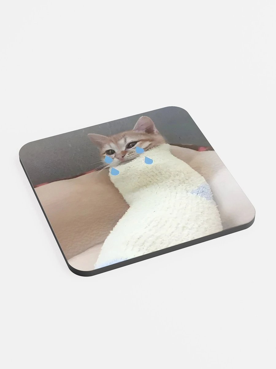 Glossed Cork Coaster: Meme Cats product image (2)