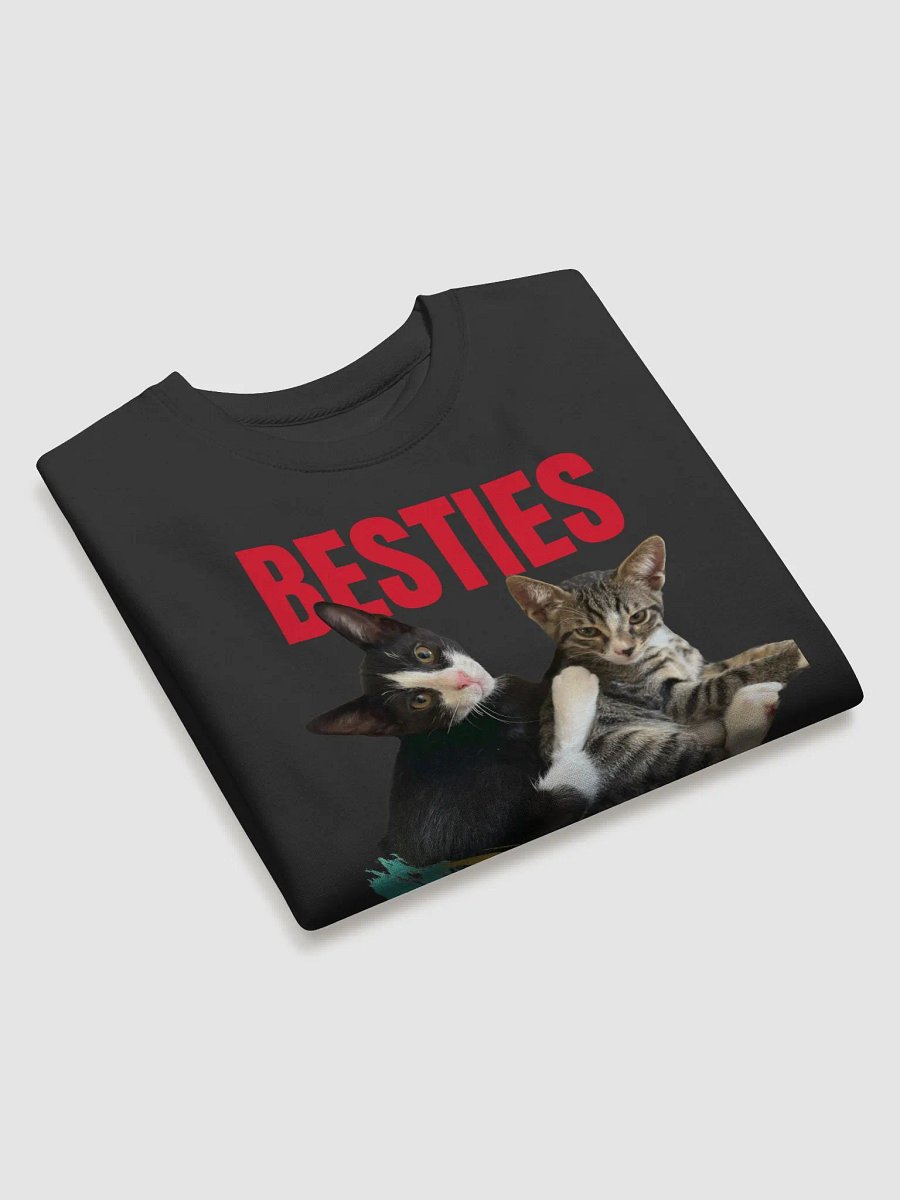Besties Embrace Premium Sweatshirt product image (3)