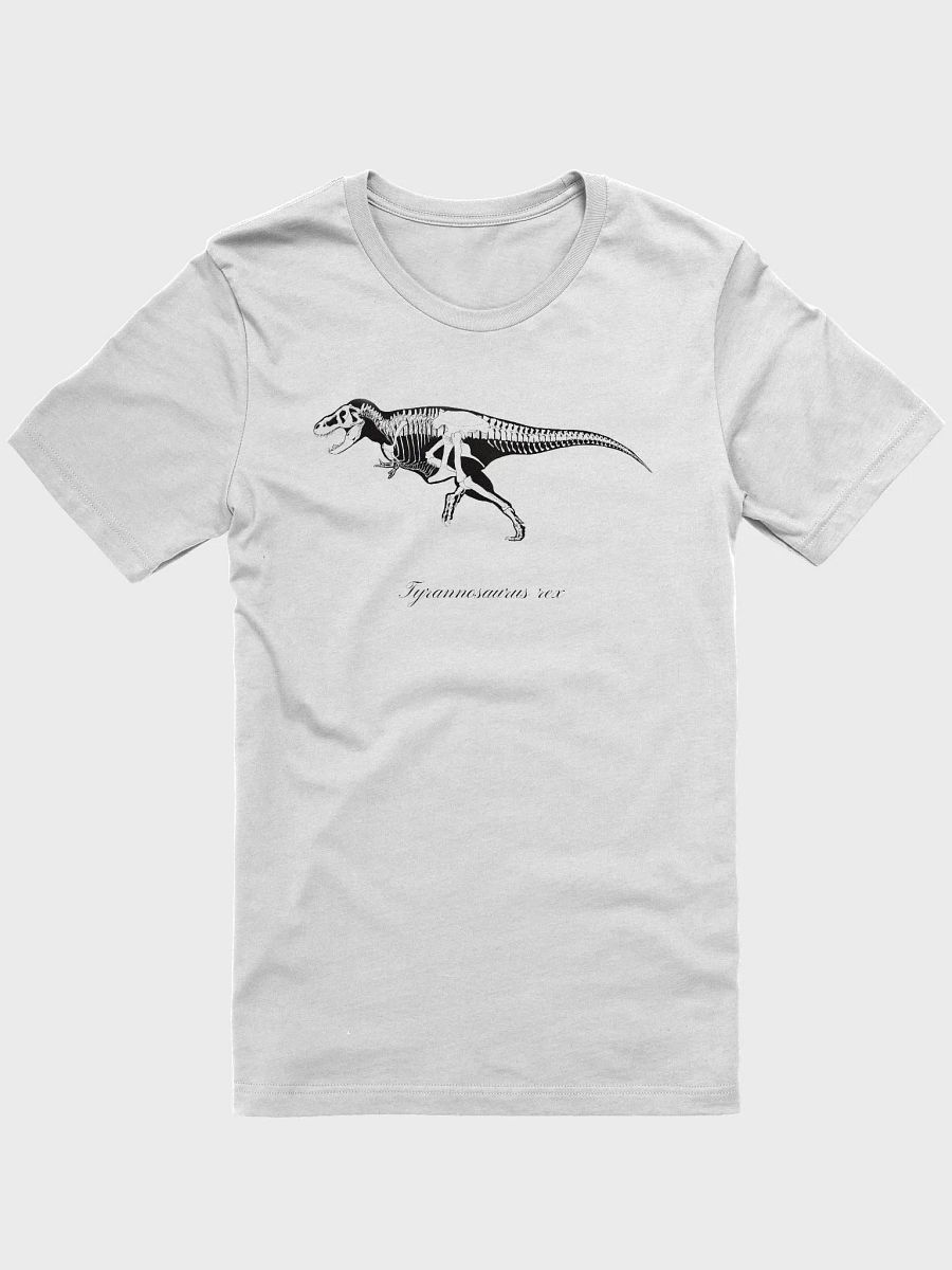 Tyrannosaurus rex Skeleton product image (4)
