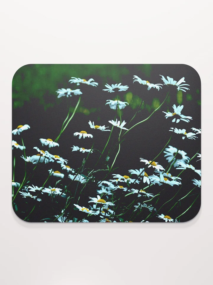 Mauspad - Blumenwiese bei Nacht product image (2)