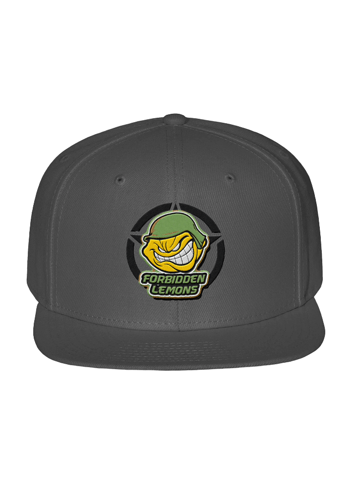 Forbiddenlemons embroided cap product image (1)