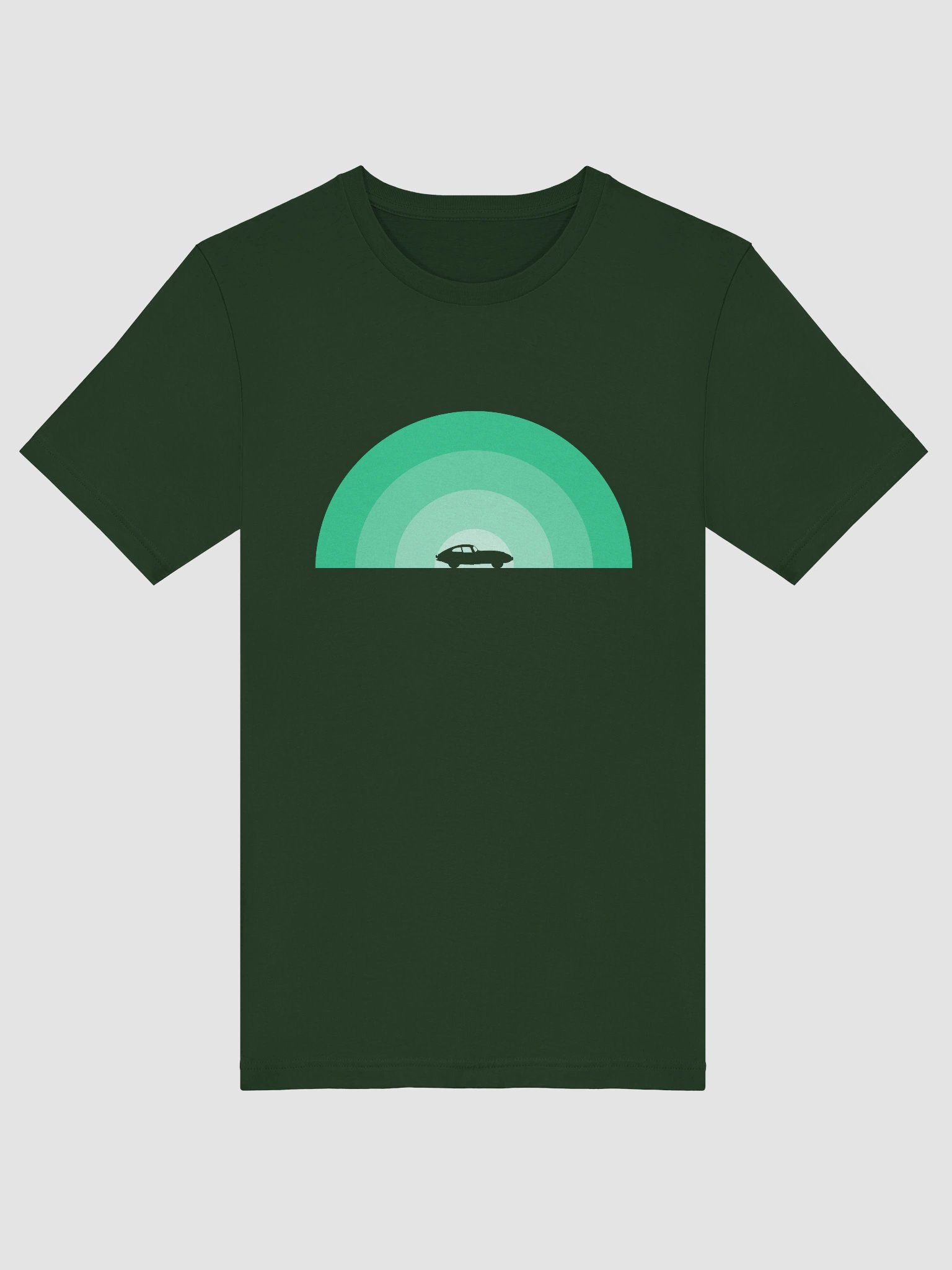 Jaguar E-Type Monochrome Rainbow (Green) product image (17)