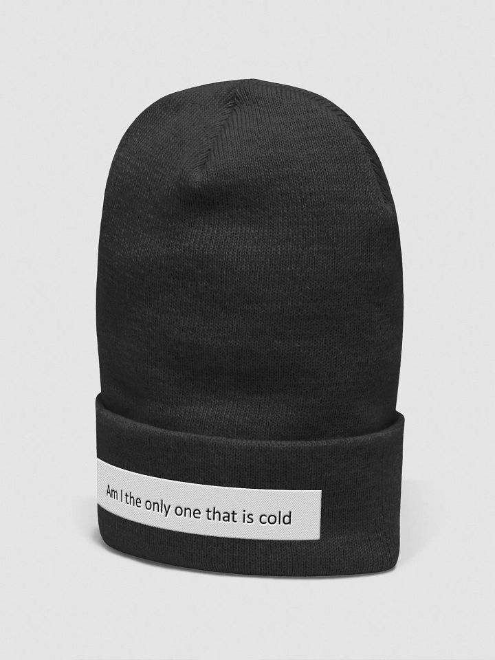 Beanie product image (2)