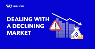Marketing Strategies for Mature & Declining Markets product image (1)