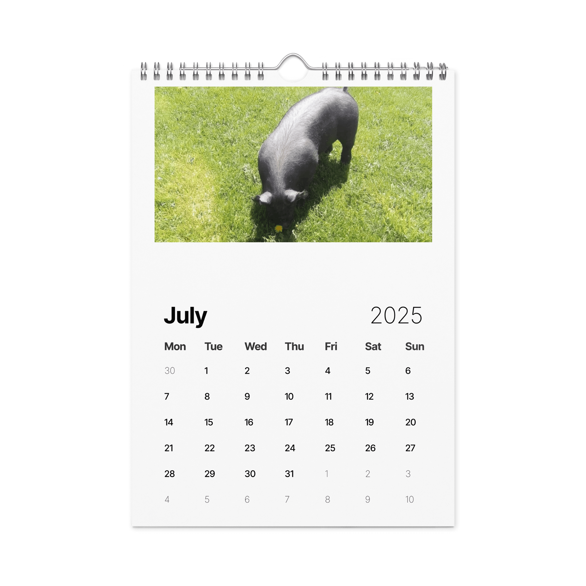 SRC piggys product image (7)