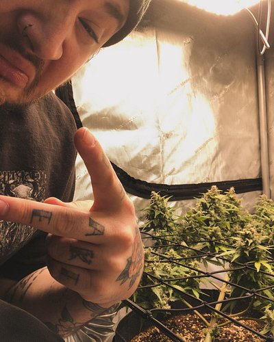HAPPY 420 from me and the lady hope everyone stay highdrated and medicated. The fantazmo express by @_mephistogenetics if loo...