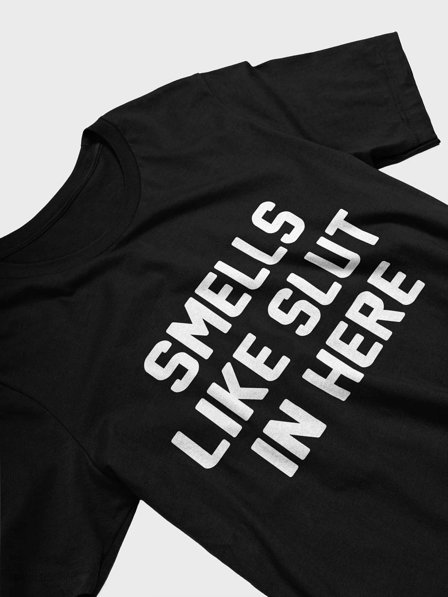 Smells Like Slut In Here Offensive Adult Humor T-Shirt product image (2)