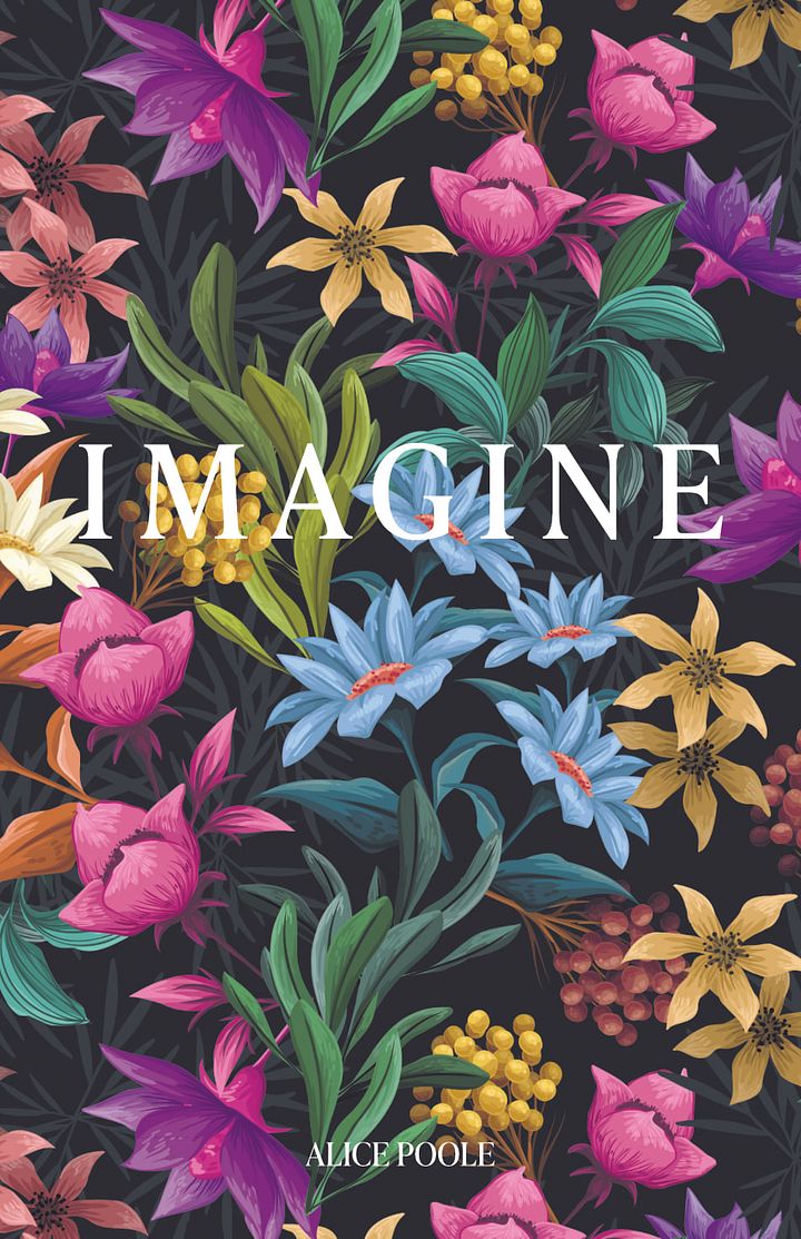 IMAGINE DELUXE product image (1)