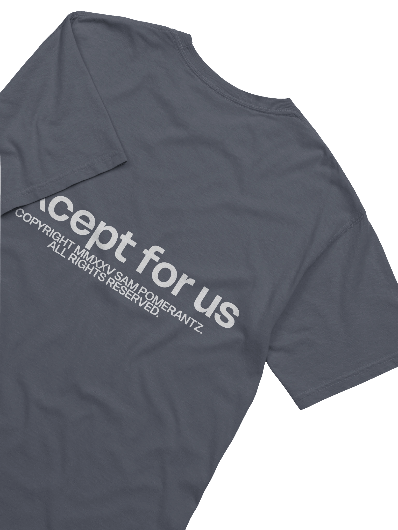 Except For Us Threshold Tee 2 product image (4)