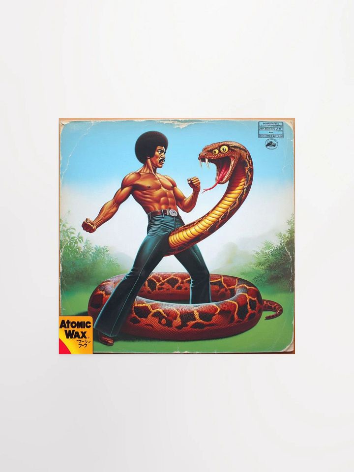 Kung Fu D*ck Poster product image (3)
