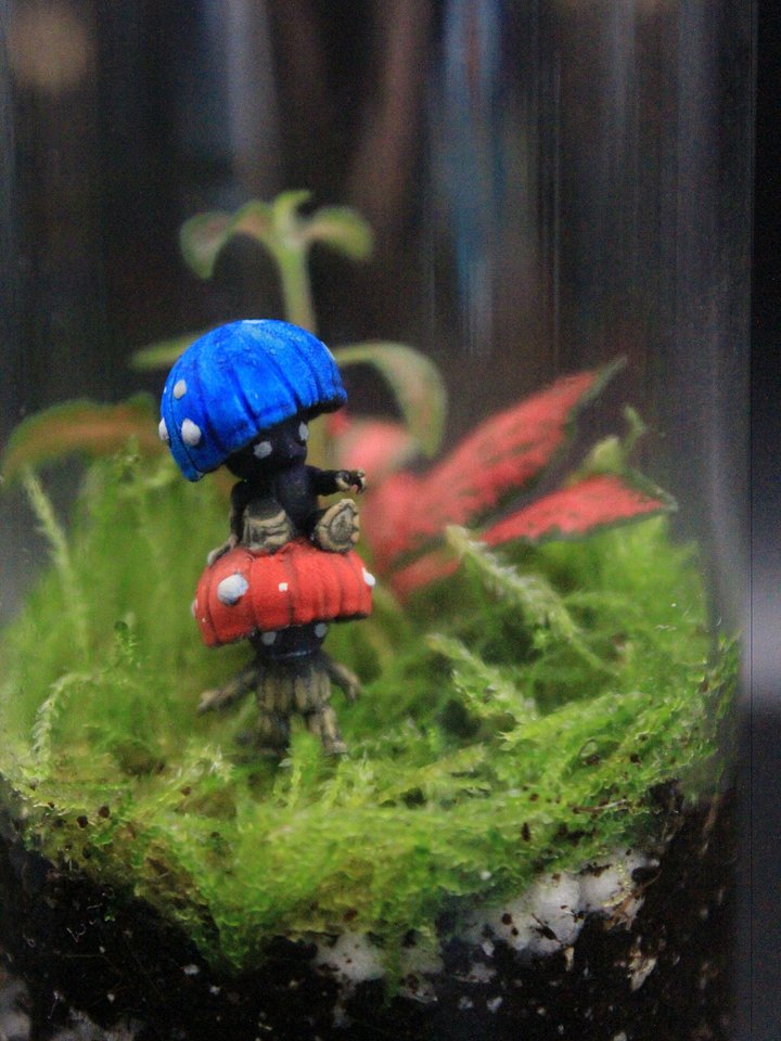 Miniscapes - 'The Minis' - Prototype - Mushroom Boys product image (2)