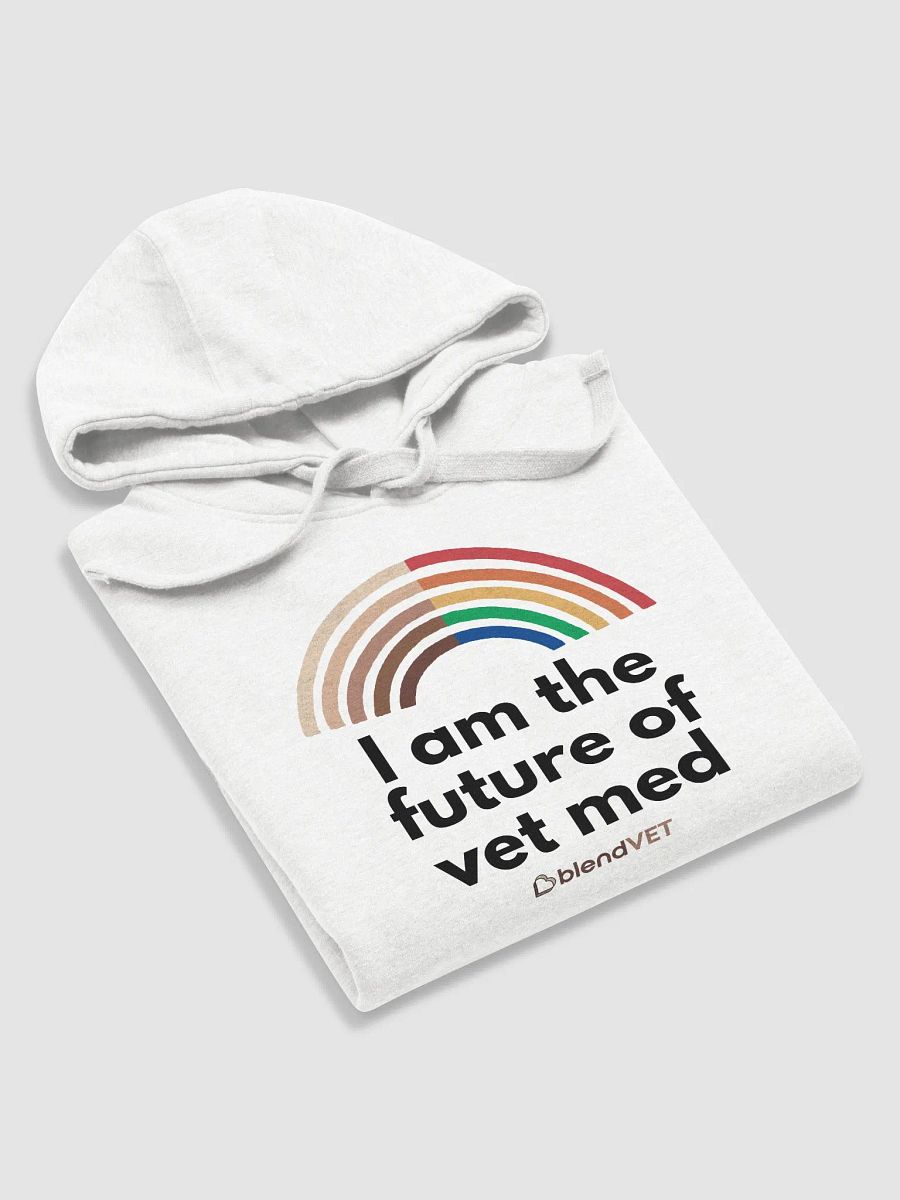 Pride - Future of Vet Med Hoodie product image (5)