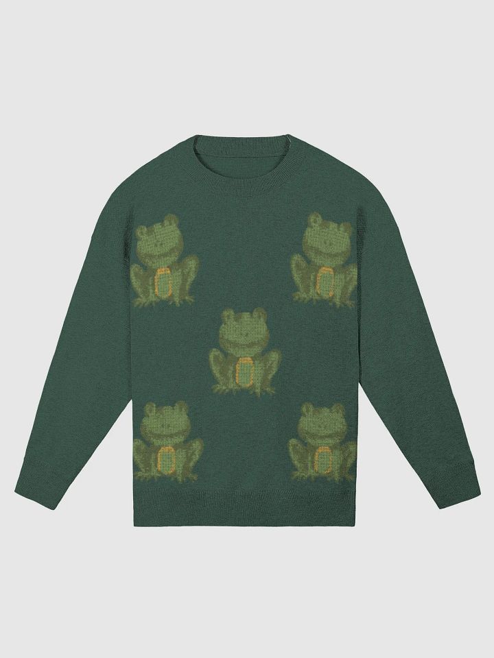 Ribbit Relaxation Knit Sweater product image (3)