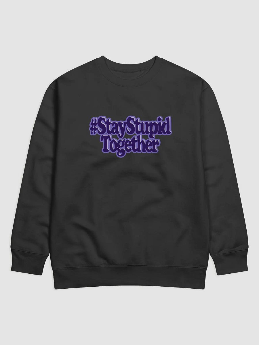 SST Purple Sweater product image (1)