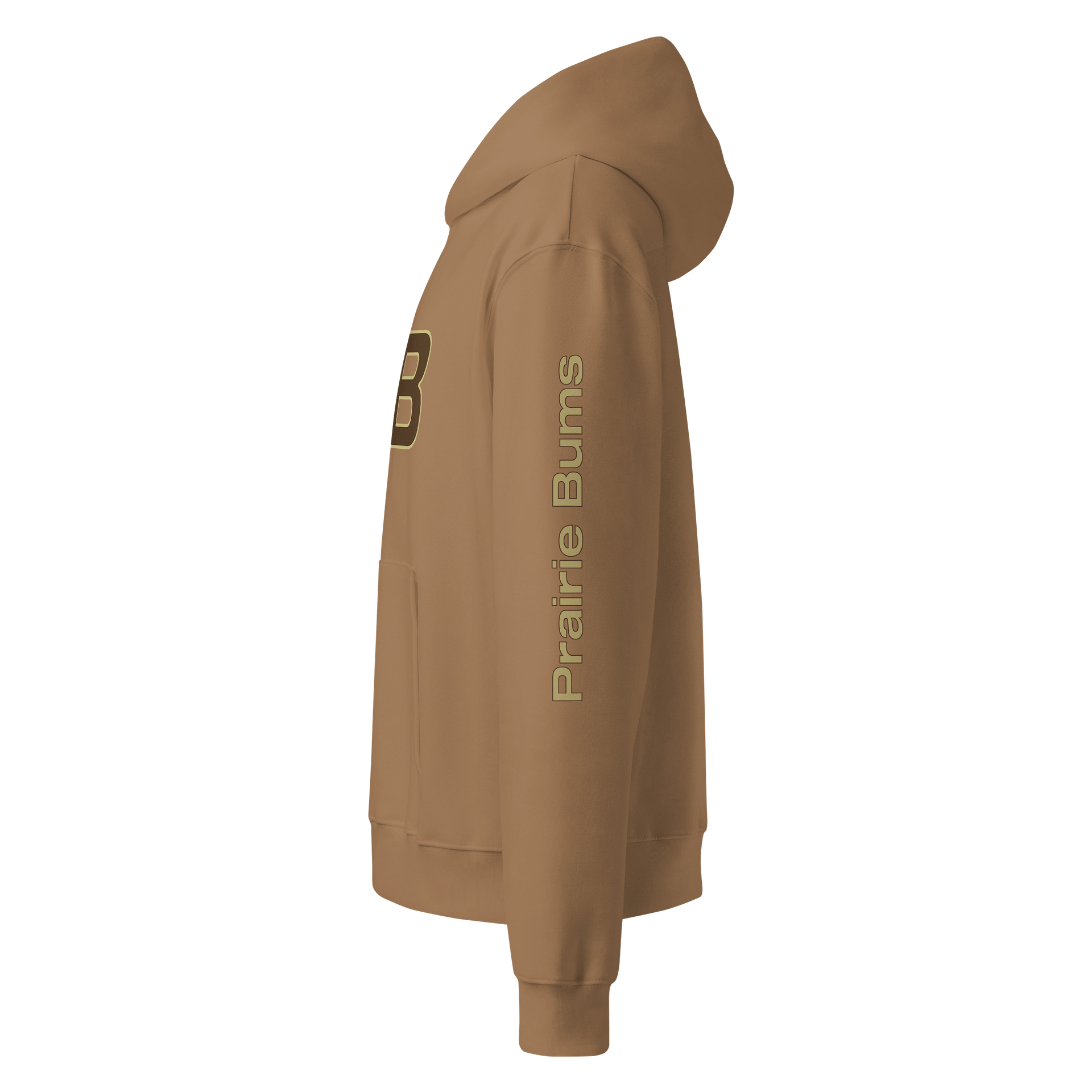 Earth Logo Premium Heavyweight Hoodie DTS product image (11)