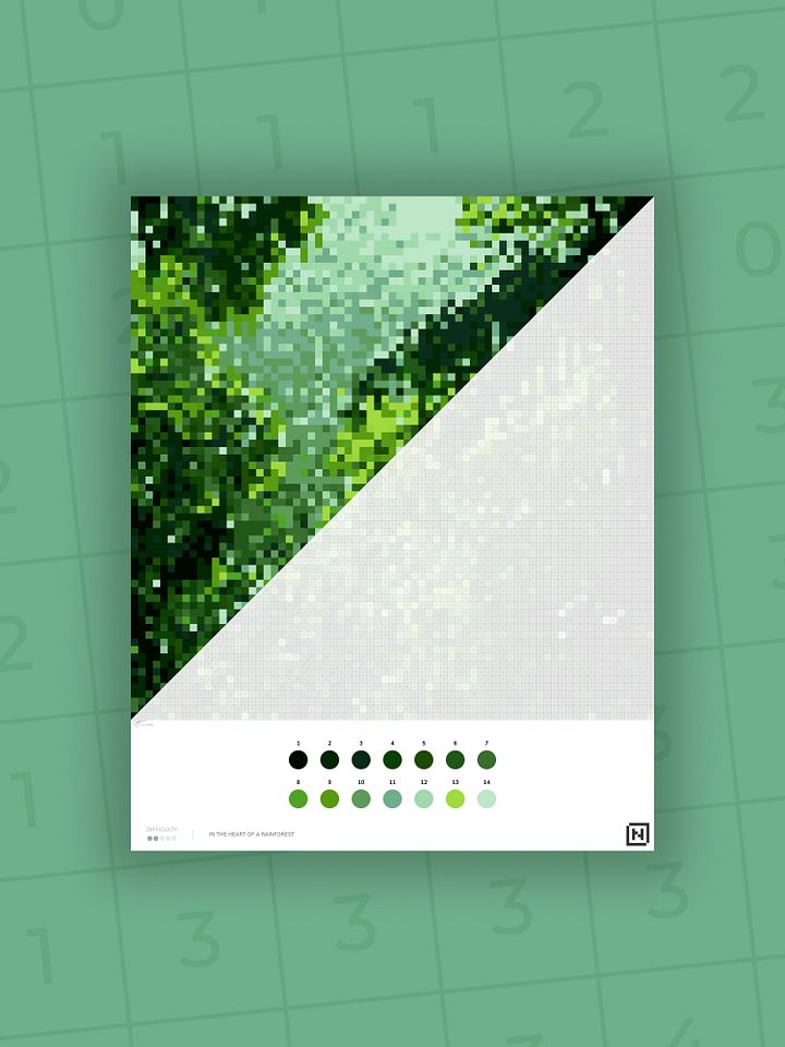 In the heart of a rainforest product image (2)