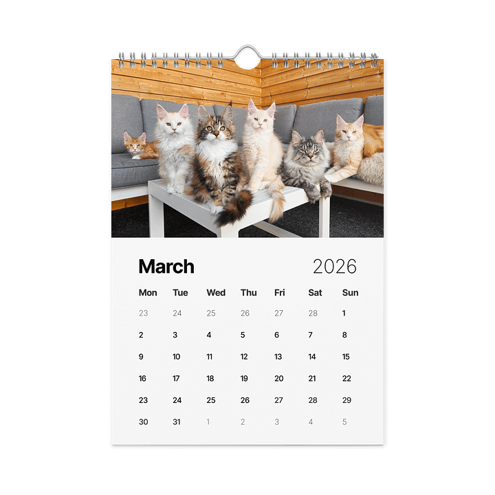 2026 Calendar - Maine Coon Adventures + Kittens product image (2)