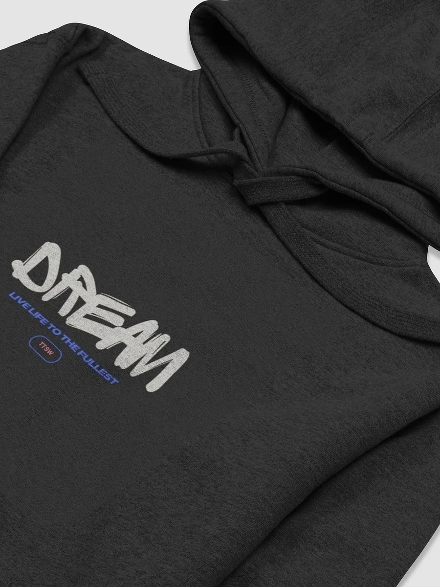 TTSW Hoodie product image (16)