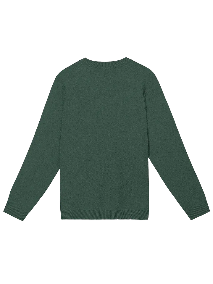 Holiday Joob Sweater product image (10)