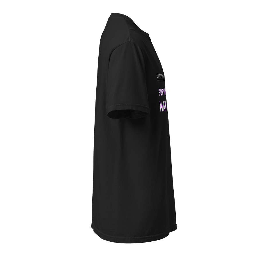 Current objective: Survive until May 2026 product image (3)