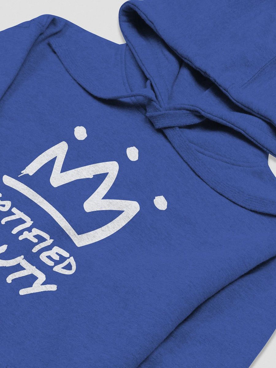 Certified Beauty Hoodie (Multi-colored) product image (45)
