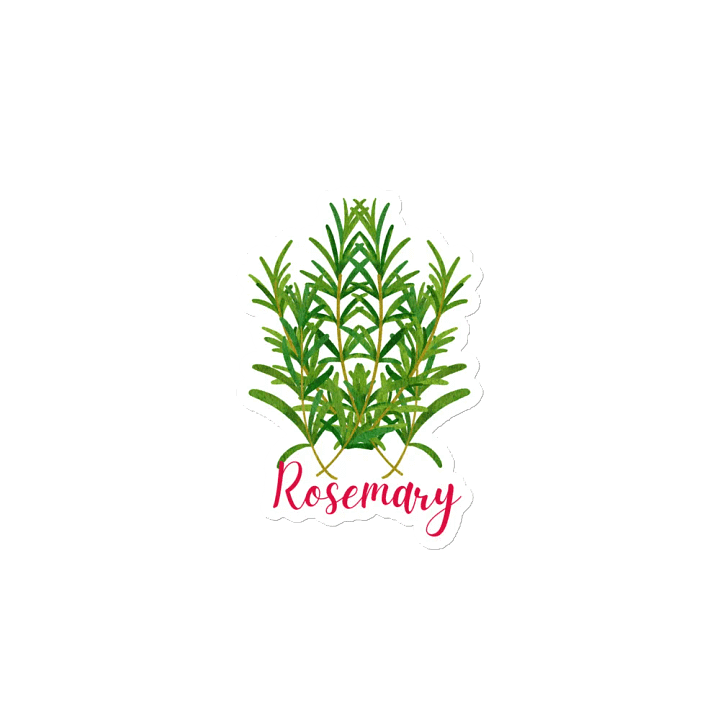 Rosemary Herb Gardening Magnet product image (2)