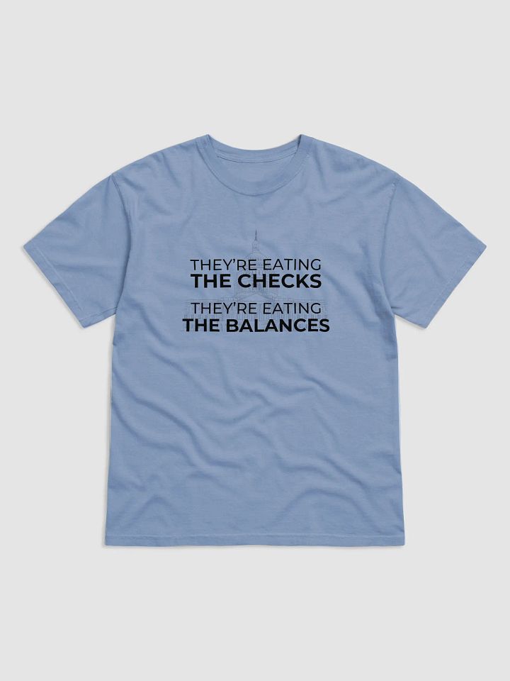 Checks & Balances Tee. product image (1)