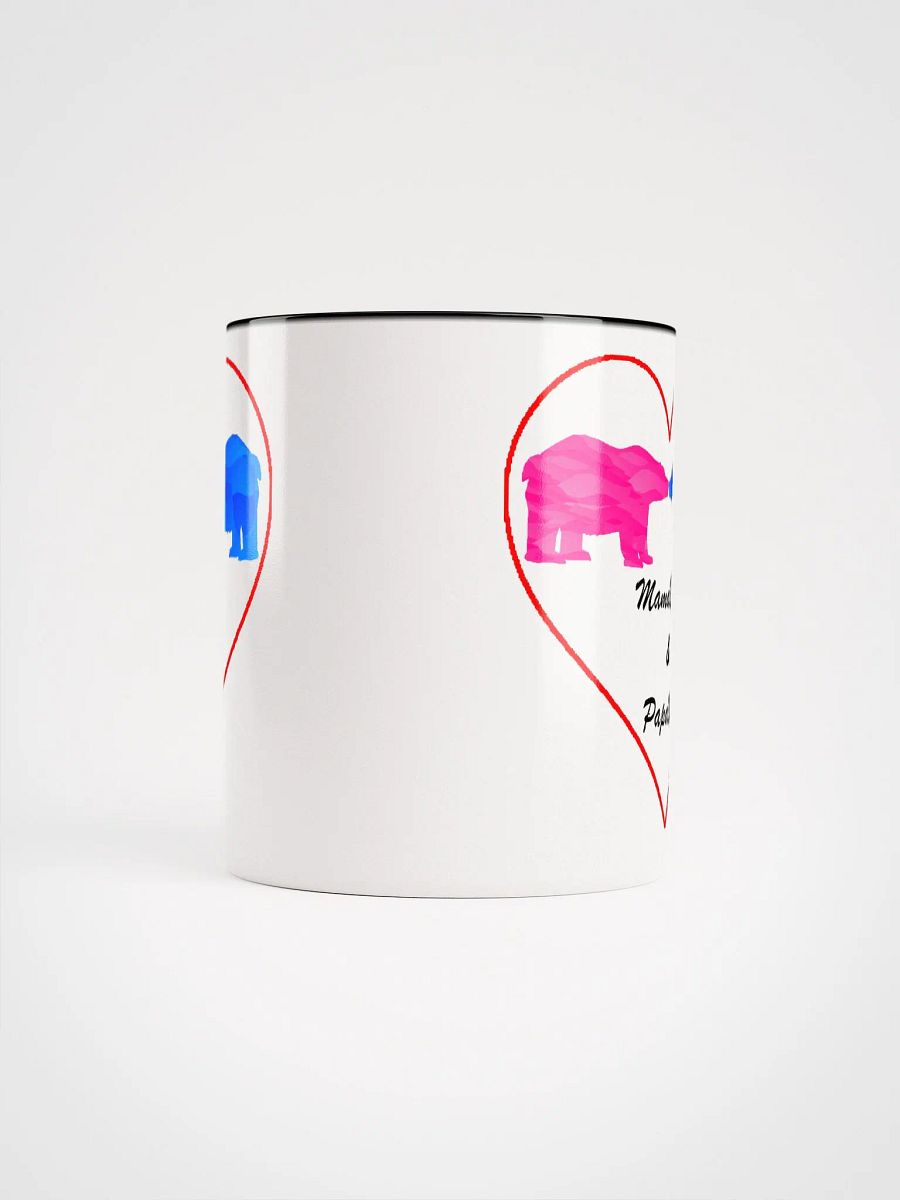 Mama & Papa Bear Ceramic Mugs With Color Inside product image (21)