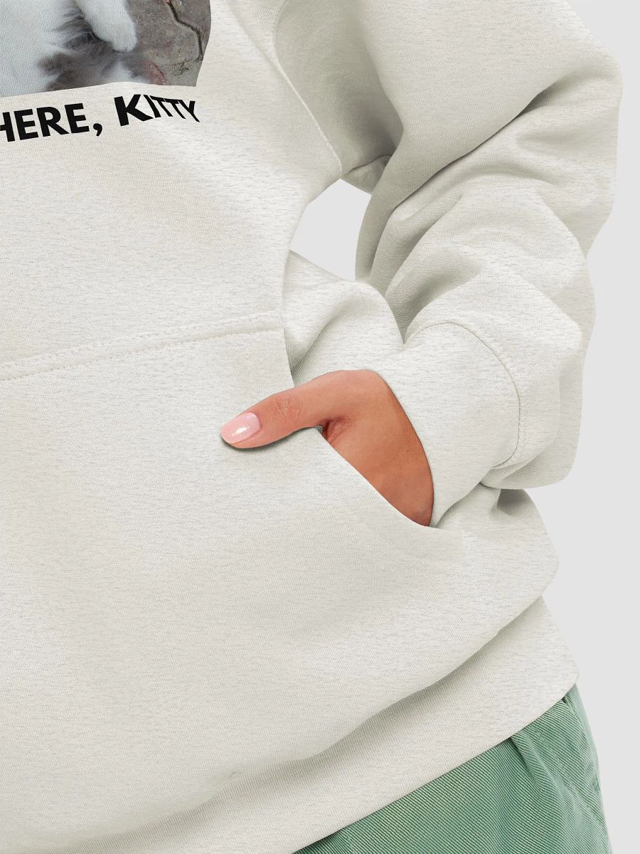 Hang Out There Kitty Hoodie product image (8)