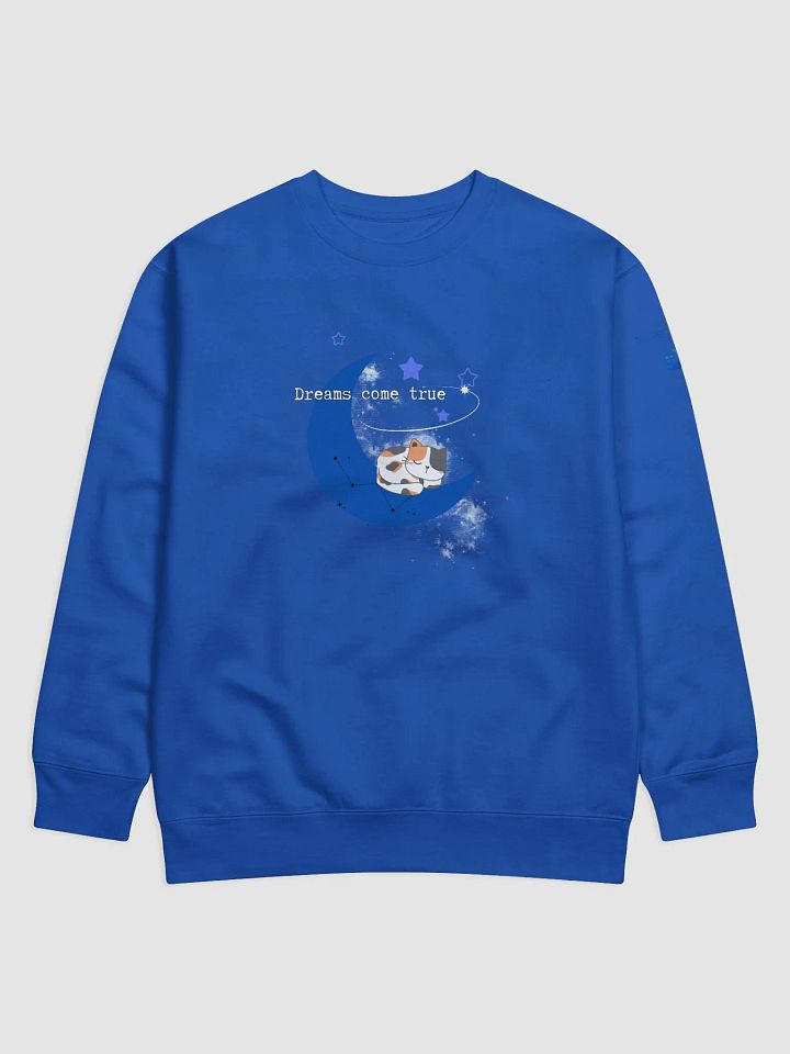 Dreamy Cat Crescent Moon Sweatshirt product image (1)