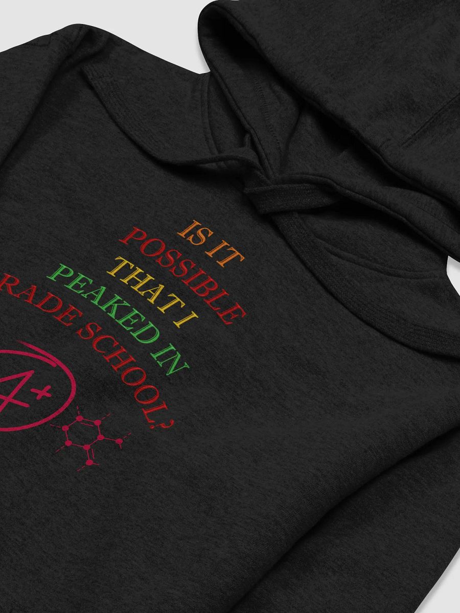 Is It Possible That I Peaked In Grade School? Hoodie product image (12)
