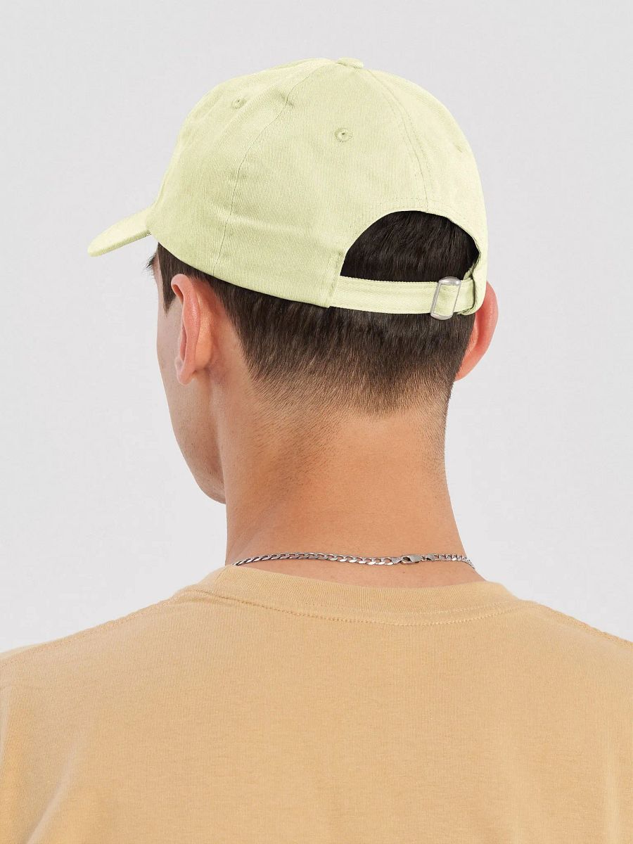 Aribee dad hat pastel product image (8)