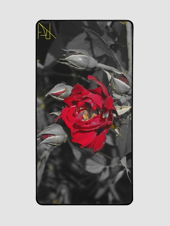 Fuchsia Rose product image (2)