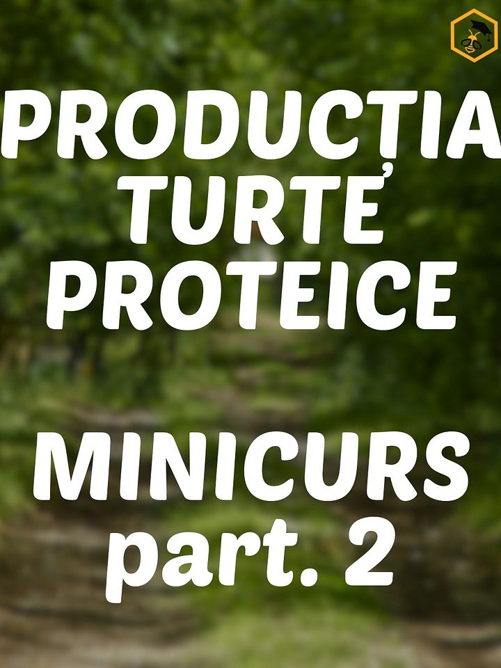 Part. 2 - Secretele Turtelor Proteice product image (1)