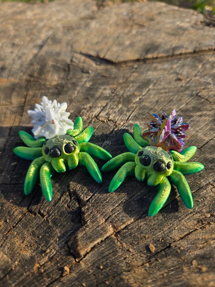 Adopt a Spider! product image (4)