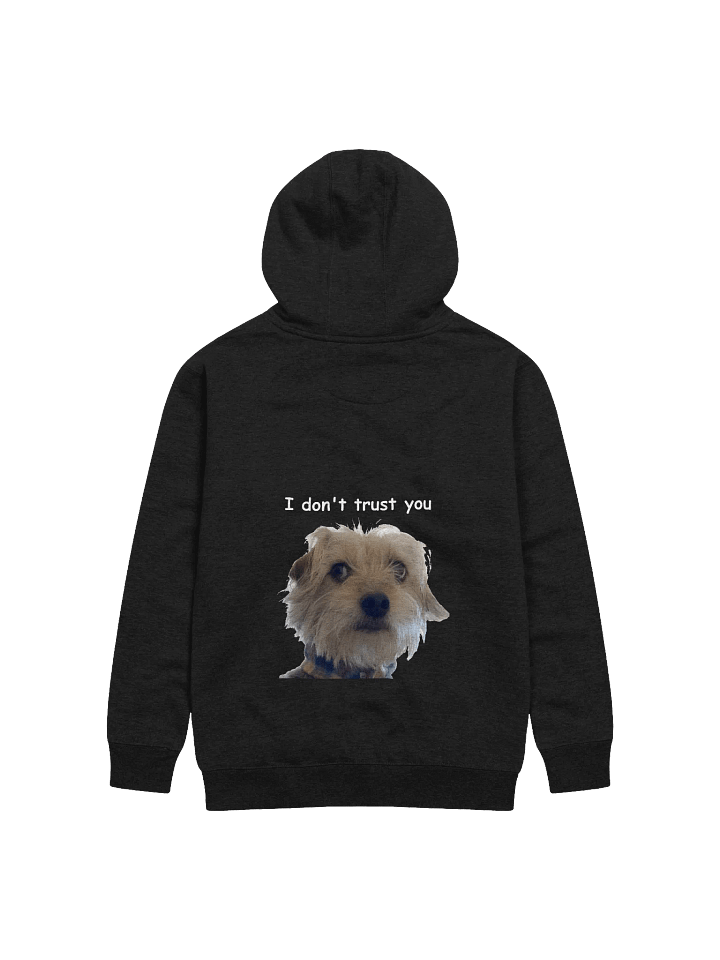"I don't trust you" Hoodie product image (1)