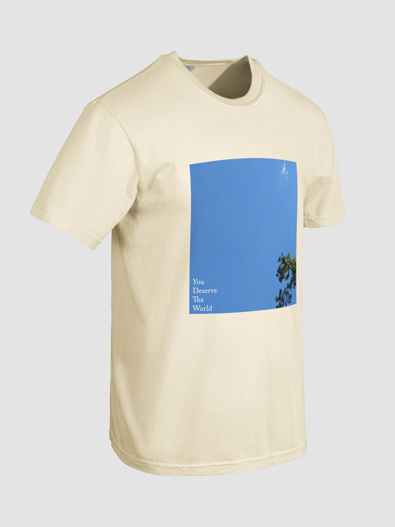 You Deserve The World T-Shirt product image (7)