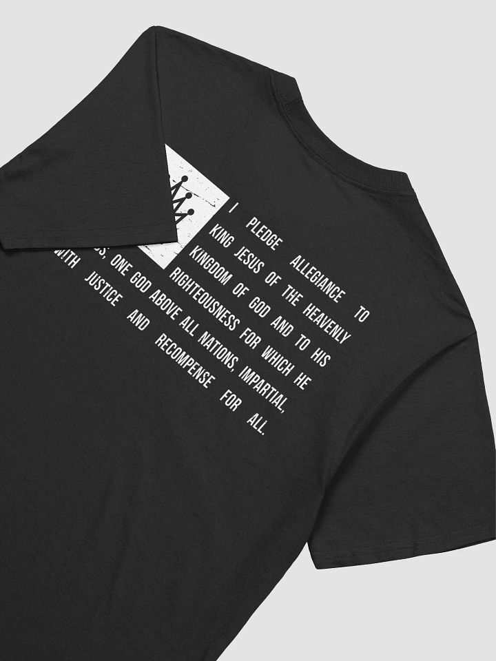 The Pledge product image (2)