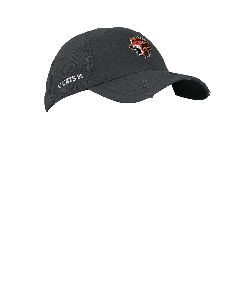 Orange Cats Beat Up Hat product image (7)