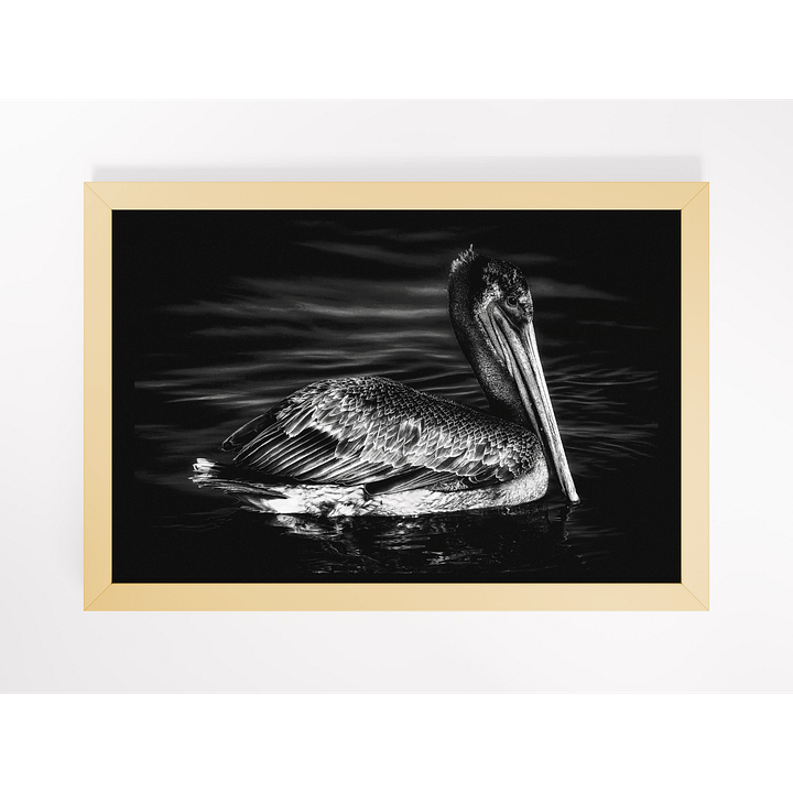 Pelican I Framed Print product image (1)