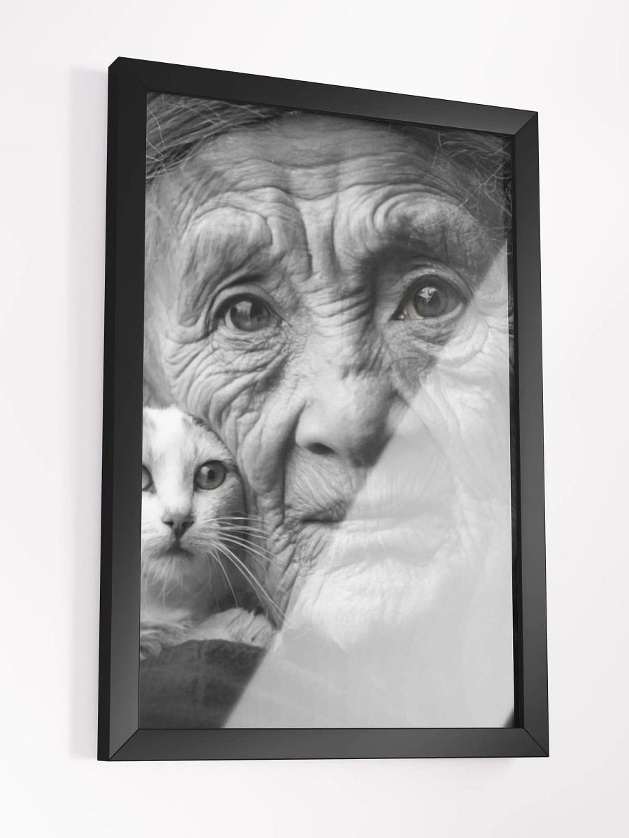 Timeless Grace: Wrinkles of Wisdom and the Warmth of Feline Companionship product image (10)