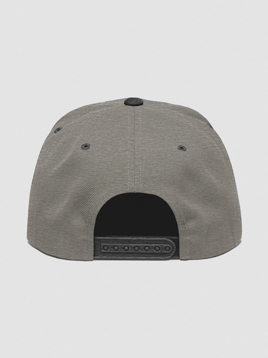 For The Sickos Snapback product image (15)