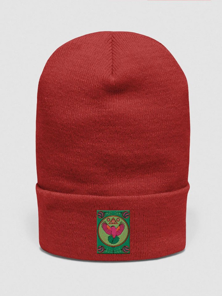 Truck Art Series: Wings of Freedom Beanie product image (1)