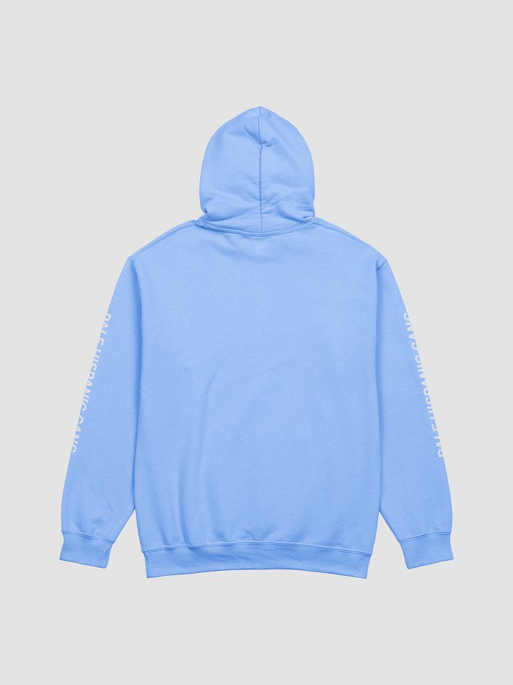 PHG Hoodie (Pastels) product image (8)